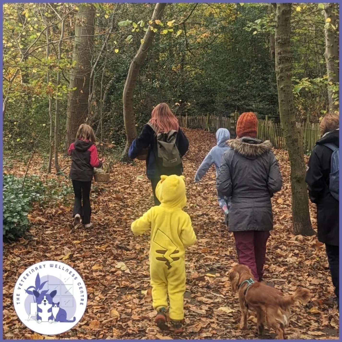 Foraging Walks