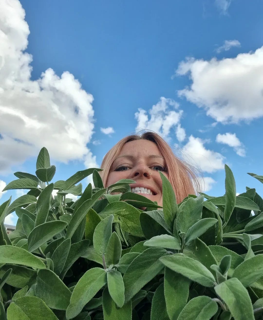 Karen tending to plants